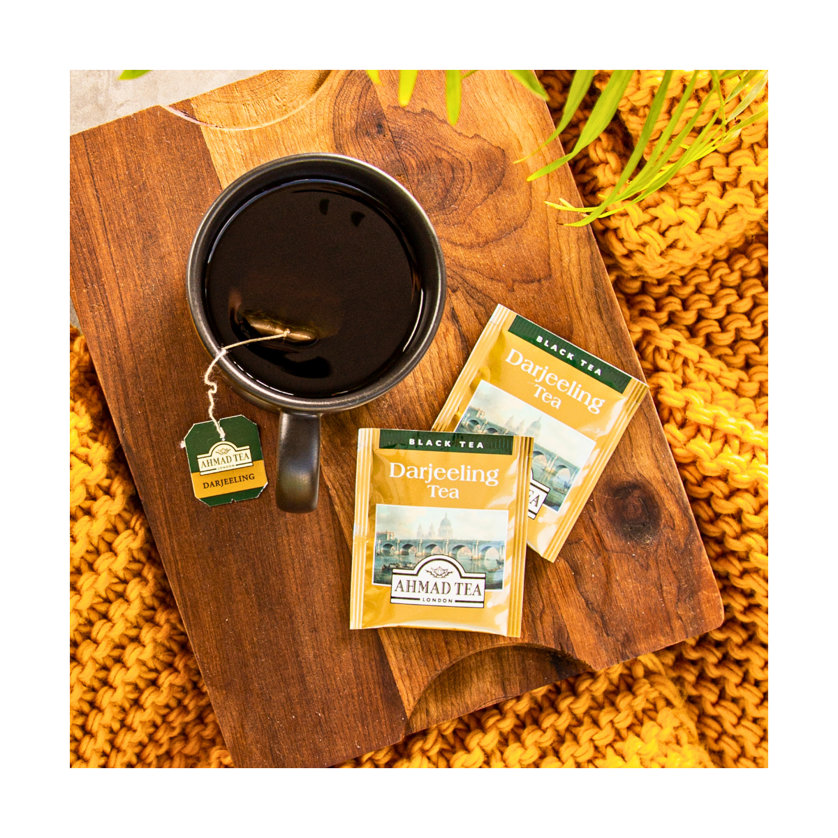 Darjeeling Black Tea Bags | AHMAD TEA USA
