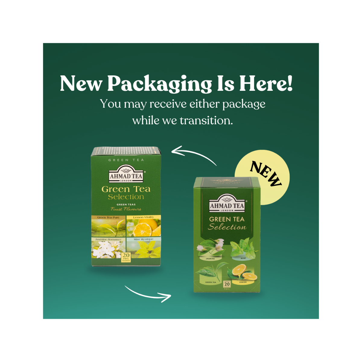 Green Tea Selection Tea Bags | AHMAD TEA USA